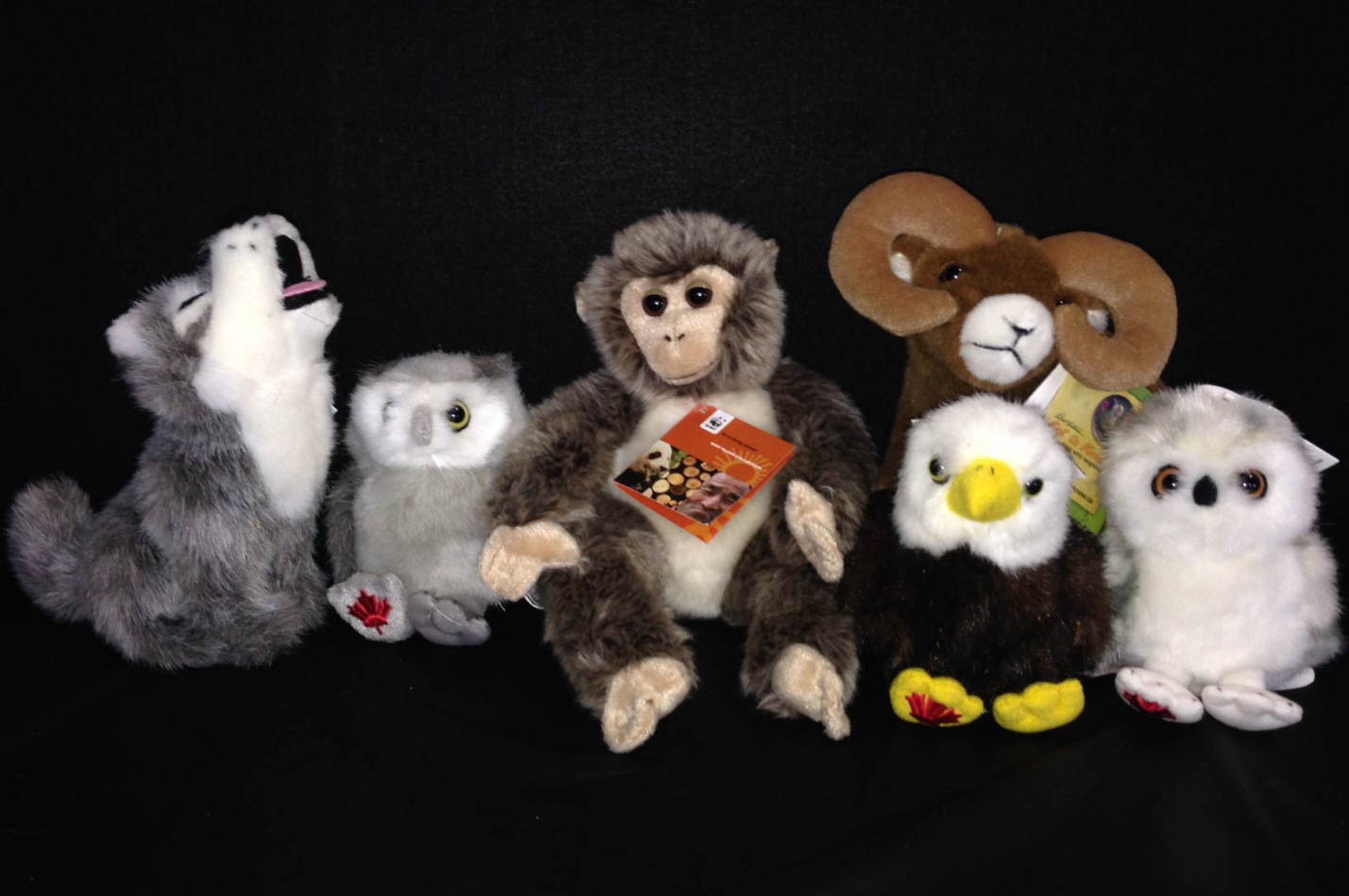 Adopt-a-Critter Premium (Plush)
