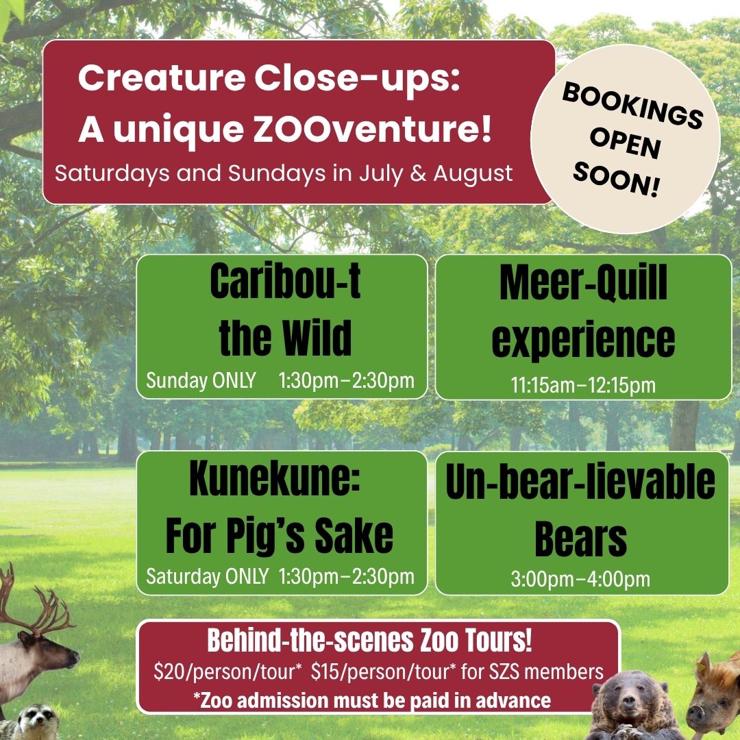 Zooventures web 2026
